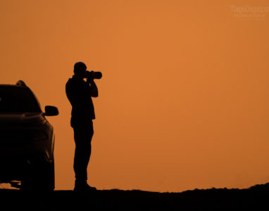 Guia & Expedições (BirdWatching)