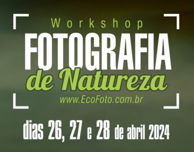 Workshop de Fotografia de Natureza (encerrado)