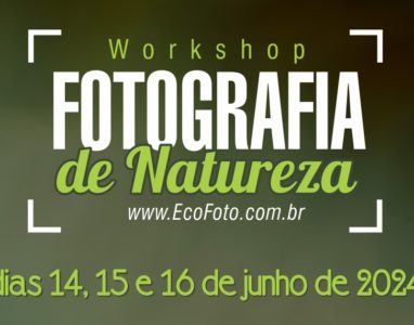 Workshop de Fotografia de Natureza (junho)